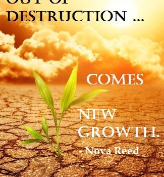Out of destruction comes new growth