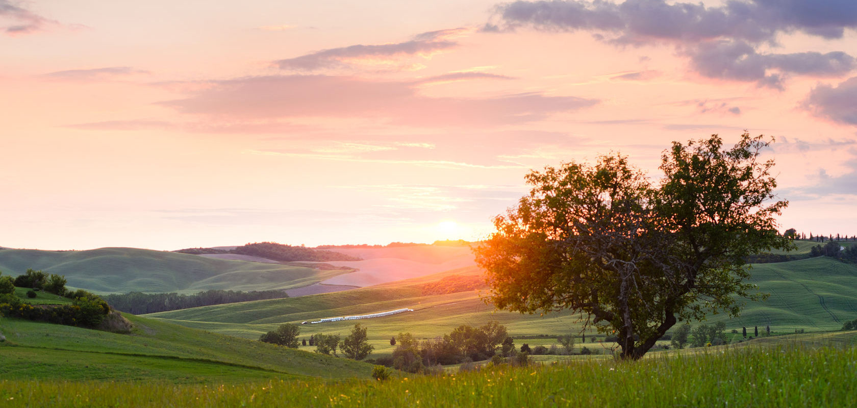 There is always hope.